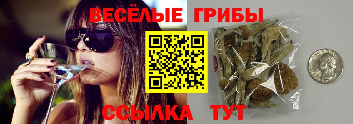 Псилоцибиновые грибы ЛСД Обь